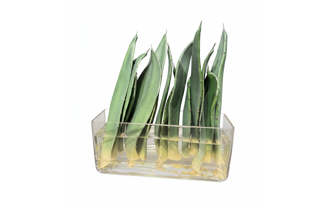 Ваза настольная ЦВЕТОК Композиция Листы Алоэ в стекле с водой 8X10X30 СМ. (NRM01324)