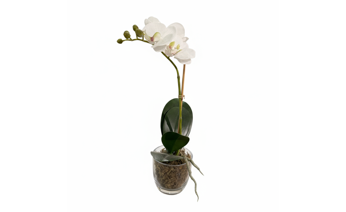 Ваза настольная ЦВЕТОК Орхидея Фаленопсис белая куст 10X10X40 СМ. (NRM01323)