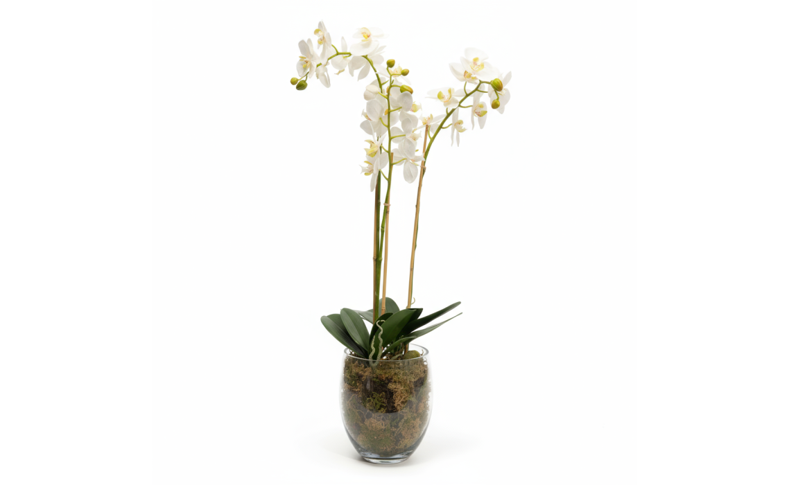 Ваза настольная ЦВЕТОК Орхидея Фаленопсис белая куст 19X19X85 СМ. (NRM06139)