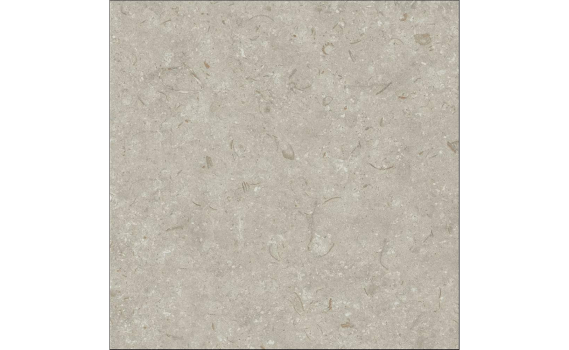 Керамическая плитка FOSIL GRIS REC. Серый 80X80X10 (NCR00681)