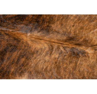 Ковер Шкура коровы / BRINDLE MEDIUM 200X230 см. коричневый (NRC00212)