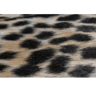 Шкура коровы RODEO 204 Cheetah 200X150 см.  (NC1146) разноцветный