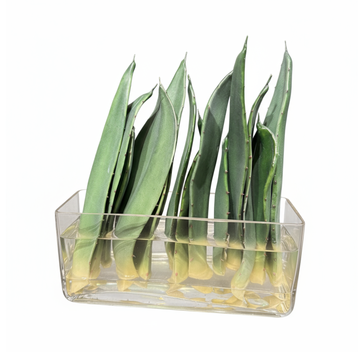 Ваза настольная ЦВЕТОК Композиция Листы Алоэ в стекле с водой 8X10X30 СМ. (NRM01324)