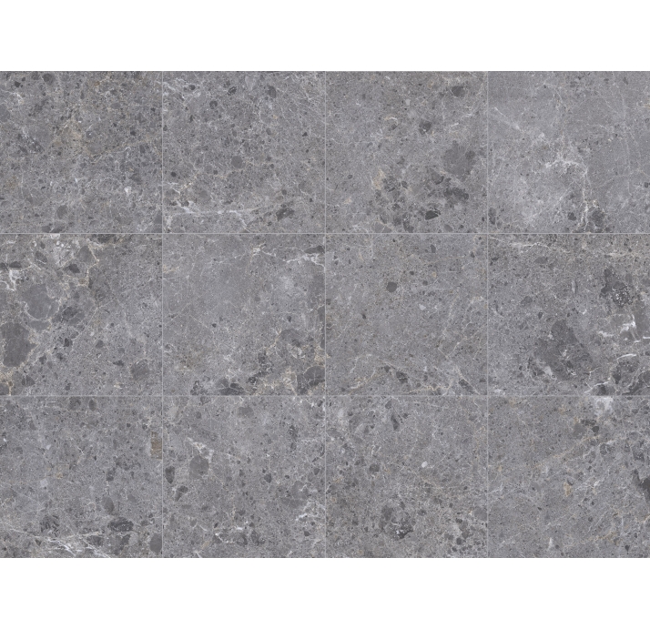 Керамическая плитка ARTIC GRIS      60X60  NAT. Серый 60X60X10 (NCR00157)