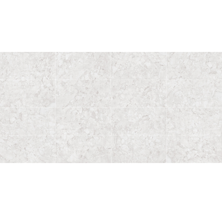 Керамическая плитка ARACRUZ BLANCO     60X120 Серый 120X60X10 (NCR00071)