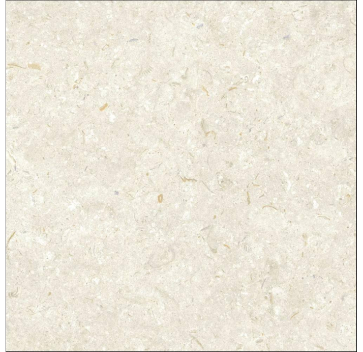 Керамическая плитка FOSIL BONE REC. Бежевый 60X60X10 (NCR00677)