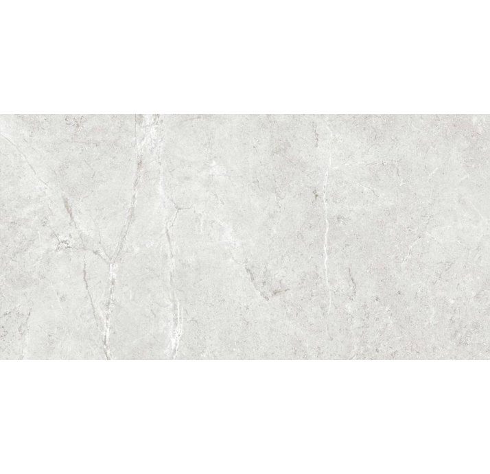 Керамическая плитка PALERMO GRIS REC. Серый 120X60X10 (NCR01270)