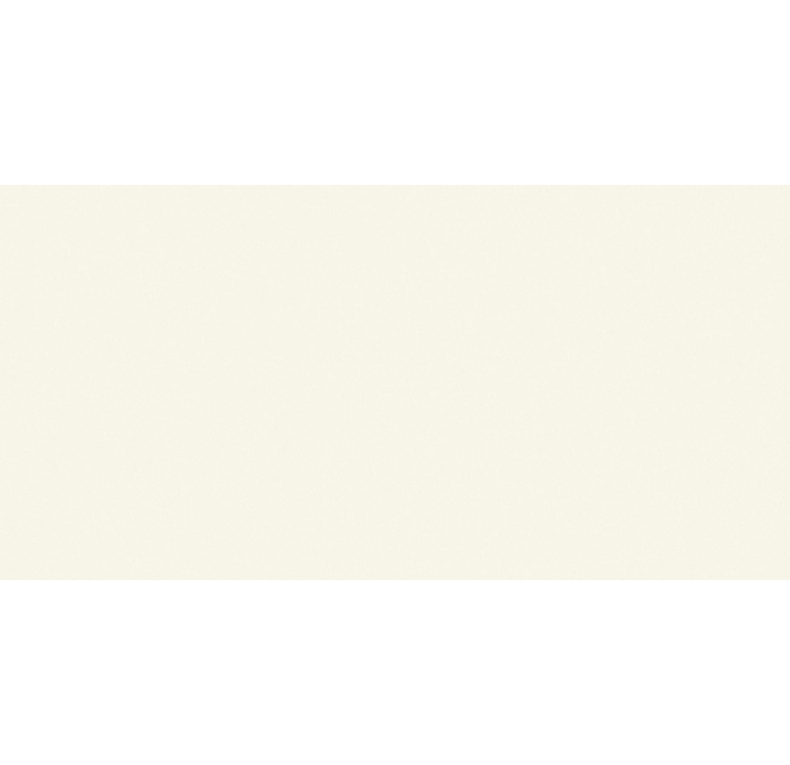 Керамическая плитка BASIC BLANCO Бежевый 100X50X5,6 (NCR00229)