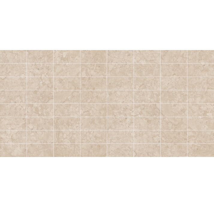 Керамическая плитка ARACRUZ BEIGE      30X60 Бежевый 60X30X10 (NCR00066)