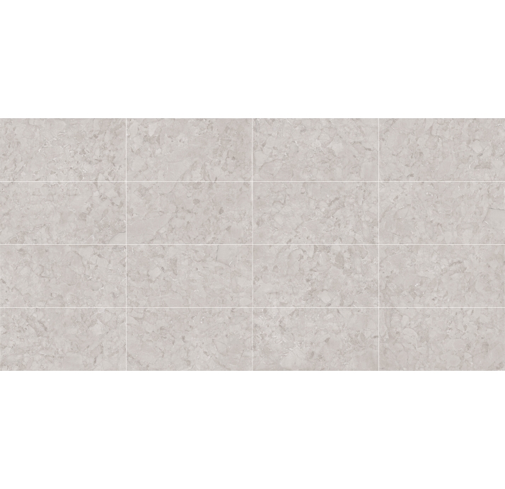 Керамическая плитка ARACRUZ GRIS       60X120 Бежевый 120X60X10 (NCR00075)