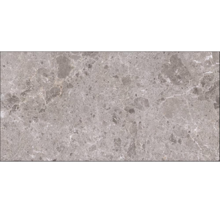 Керамическая плитка ARTIC GRIS      80X160 NAT. Серый 160X80X10 (NCR00160)