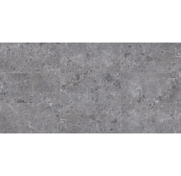 Керамическая плитка ARTIC GRIS      80X160 NAT. Серый 160X80X10 (NCR00160)