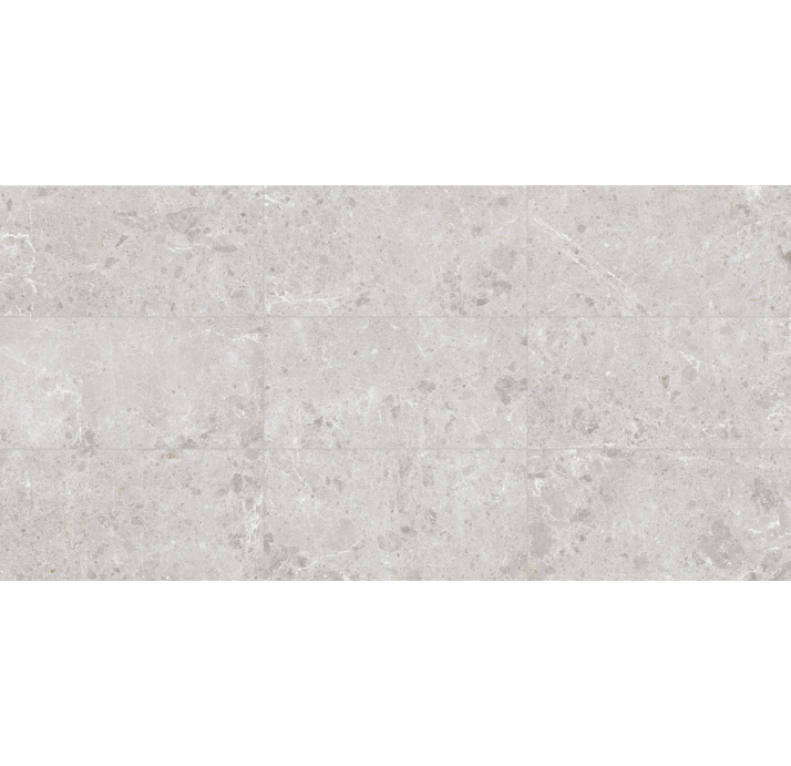 Керамическая плитка ARTIC BLANCO NAT. Серый 120X60X10 (NCR00146)