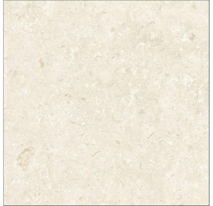 Керамическая плитка FOSIL BONE REC. Бежевый 80X80X10 (NCR00678)