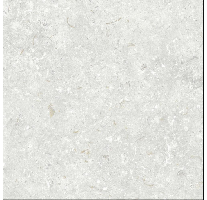 Керамическая плитка FOSIL PERLA REC. Серый 60X60X10 (NCR00682)