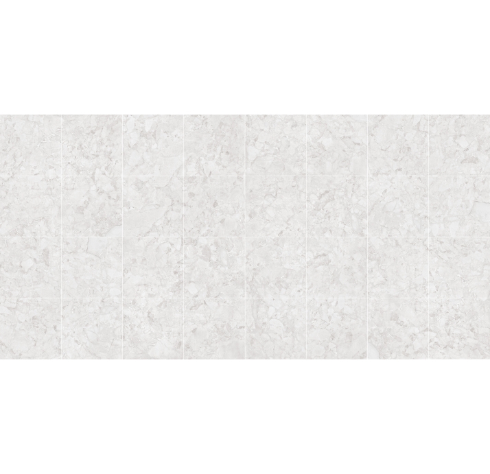 Керамическая плитка ARACRUZ BLANCO     60X60 Серый 60X60X10 (NCR00072)