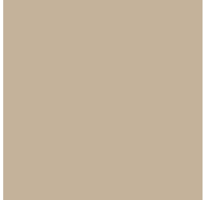 Керамическая плитка STARK TAUPE RECT. Бежевый 60X60X10 (NCR01504)