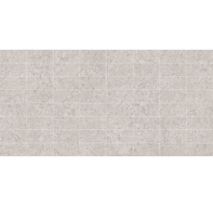 Керамическая плитка ARACRUZ GRIS       30X60 Бежевый 60X30X10 (NCR00074)