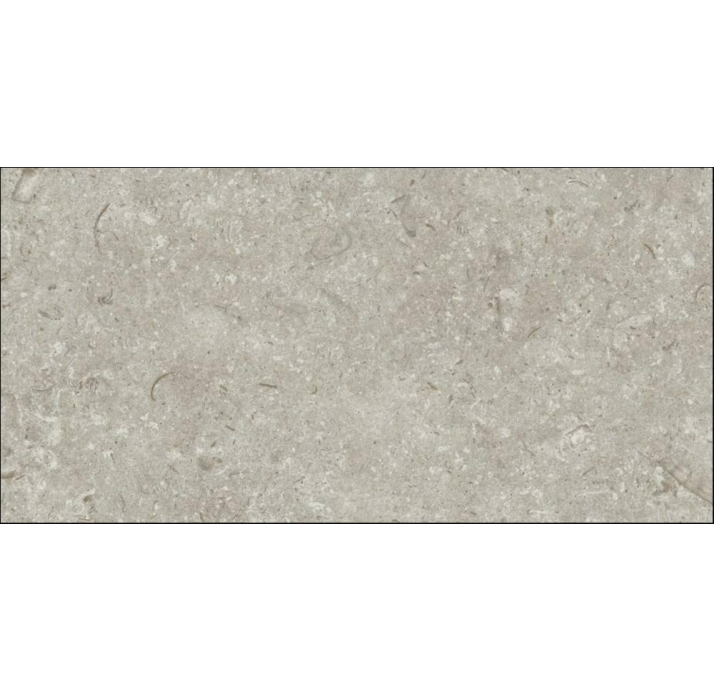 Керамическая плитка FOSIL GRIS REC. Серый 60X30X10 (NCR00679)