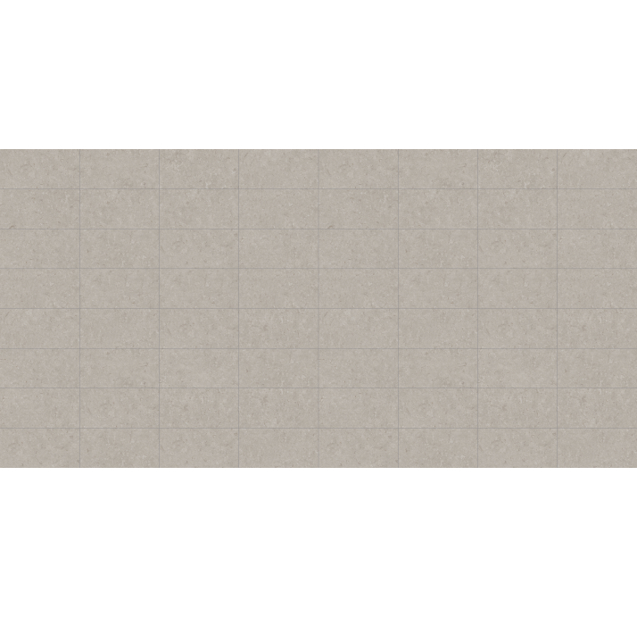 Керамическая плитка FOSIL GRIS REC. Серый 60X30X10 (NCR00679)