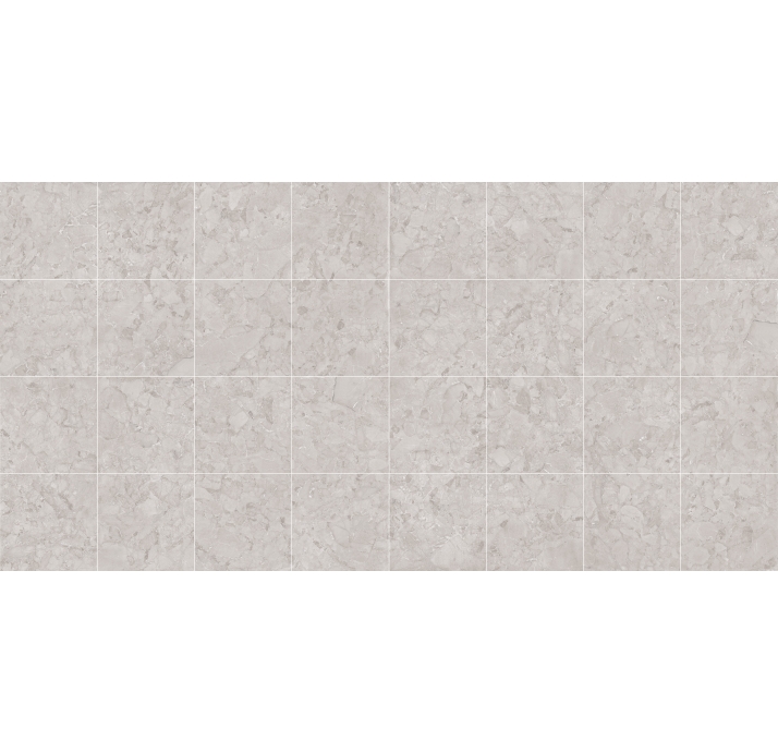 Керамическая плитка ARACRUZ GRIS       60X60 Бежевый 60X60X10 (NCR00076)