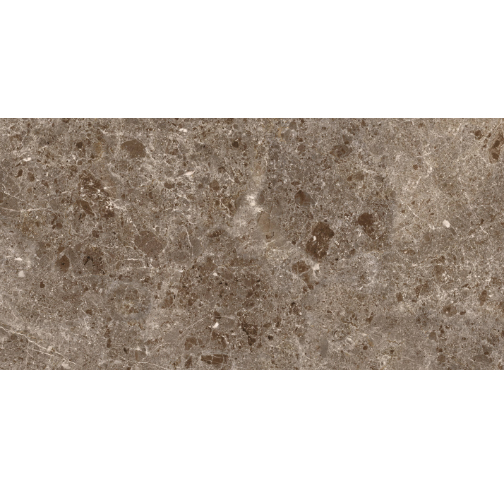 Керамическая плитка ARTIC MOKA PUL. Коричневый 120X60X5,6 (NCR00176)