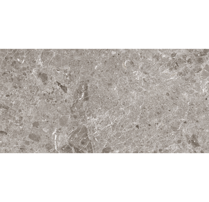 Керамическая плитка ARTIC GRIS PUL. Серый 120X60X5,6 (NCR00162)