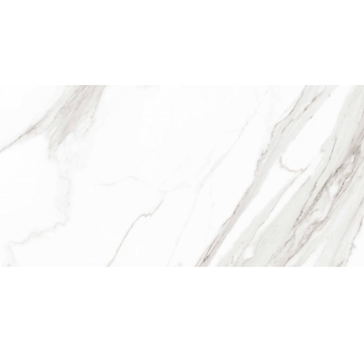 Керамическая плитка ESTATUARIO EXTRA       60X120 Серый 120X60X10 (NCR00646)