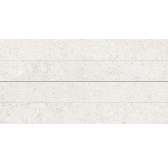 Керамическая плитка BIERZO PERLA  SEDA  60X120 Белый 120X60X10 (NCR00296)