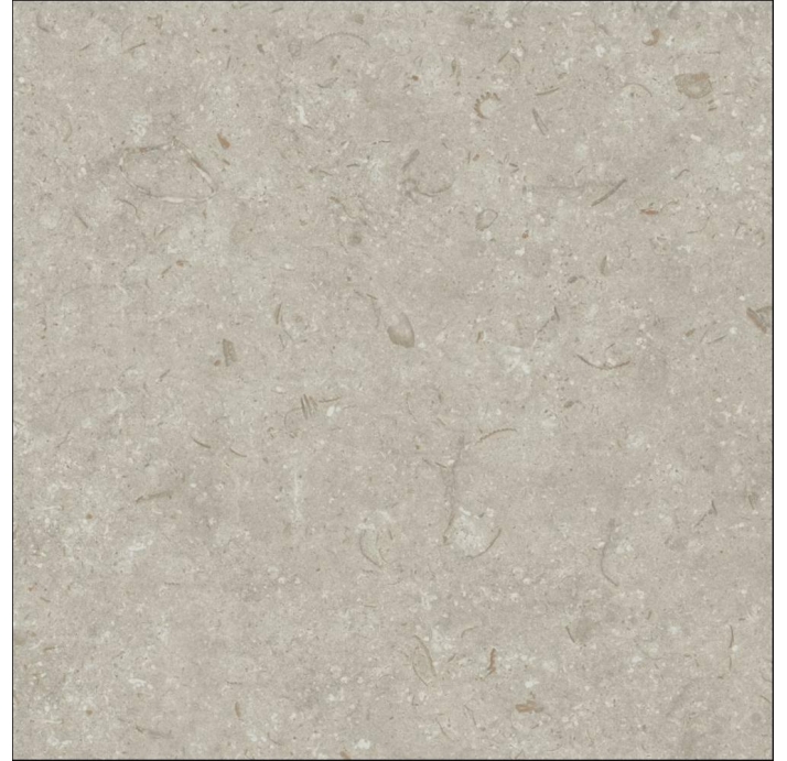 Керамическая плитка FOSIL GRIS REC. Серый 80X80X10 (NCR00681)