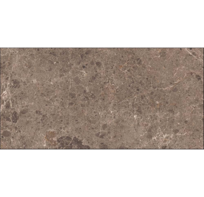 Керамическая плитка ARTIC MOKA      78X158 PUL. Коричневый 158X78X10 (NCR00172)
