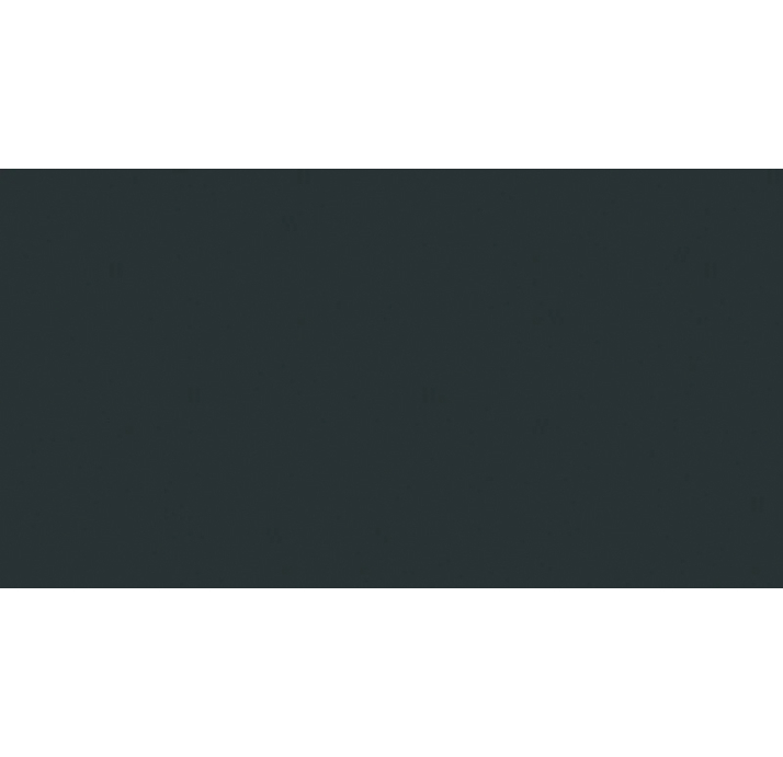 Керамическая плитка BASIC NEGRO Черный 100X50X5,6 (NCR00250)