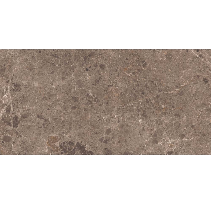 Керамическая плитка ARTIC MOKA      80X160 NAT. Коричневый 160X80X10 (NCR00174)