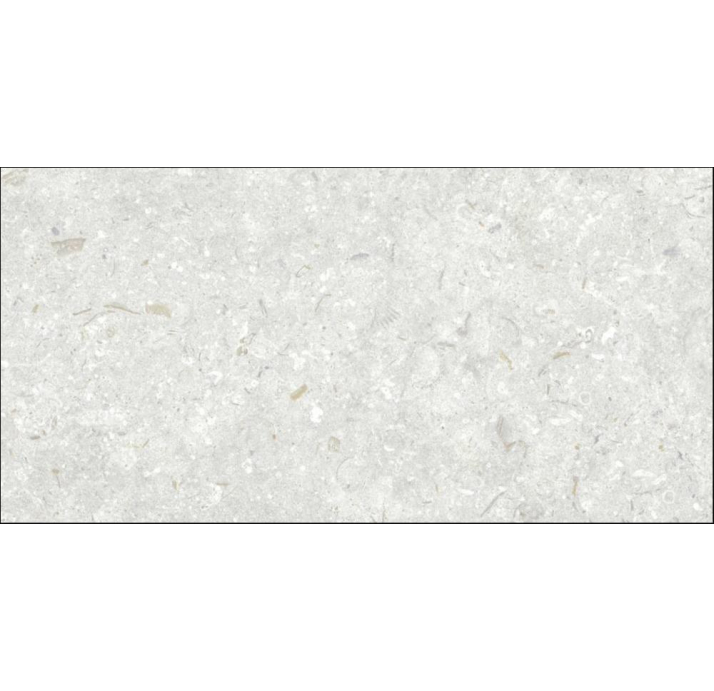 Керамическая плитка FOSIL PERLA REC. Серый 60X30X10 (NCR00683)