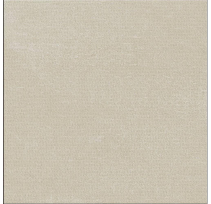 Керамическая плитка VOLGA ARENA REL. Бежевый 60X60X10 (NCR01789)