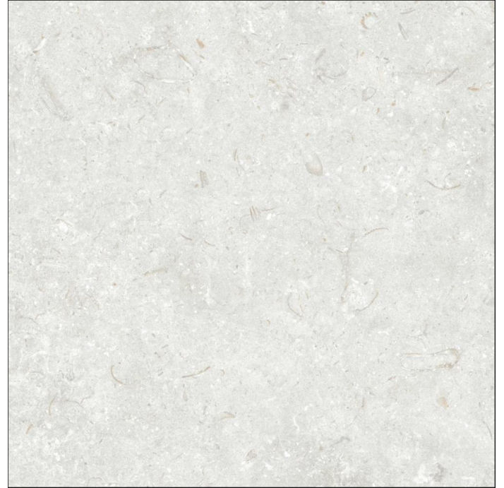 Керамическая плитка FOSIL PERLA REC. Серый 80X80X10 (NCR00684)