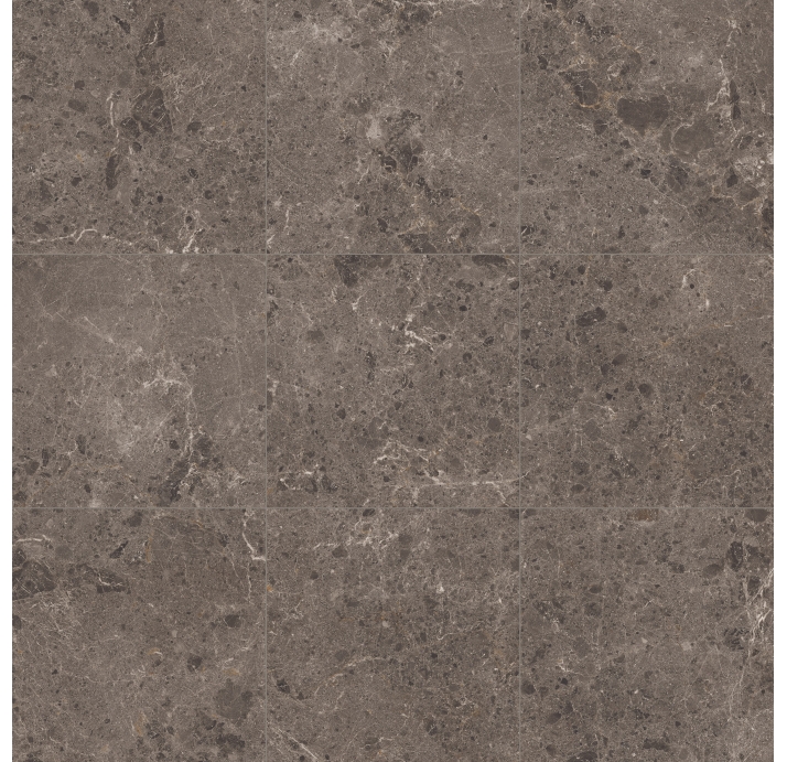 Керамическая плитка ARTIC MOKA      80X80  NAT. Коричневый 80X80X10 (NCR00175)