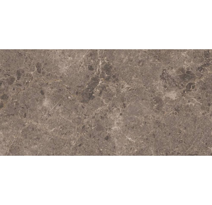 Керамическая плитка ARTIC MOKA      59X119 PUL. Коричневый 119X59X10 (NCR00168)