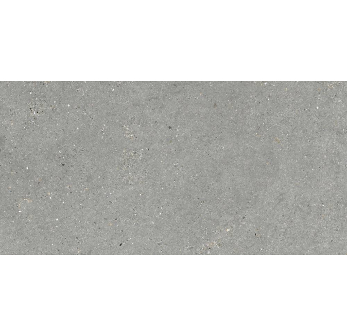 Керамическая плитка MITICA GRIS REC. Серый 120X60X10 (NCR01123)
