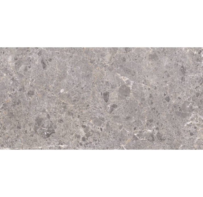 Керамическая плитка ARTIC GRIS      60X120 NAT. Серый 120X60X10 (NCR00156)