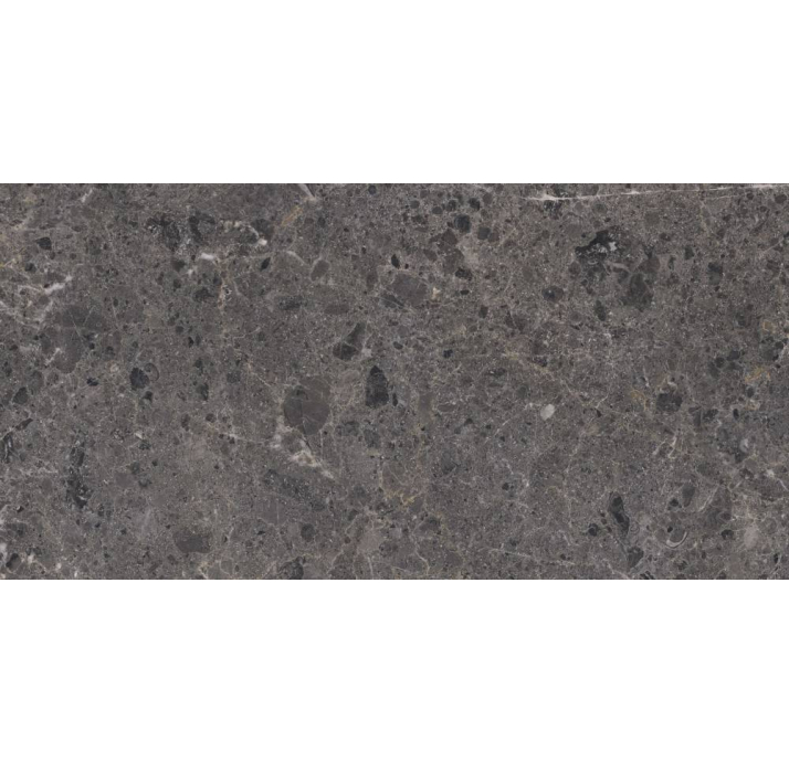 Керамическая плитка ARTIC ANTRACITA NAT. Графитовый 120X60X10 (NCR00126)