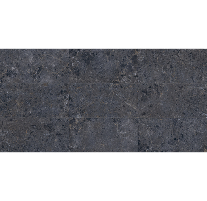 Керамическая плитка ARTIC ANTRACITA NAT. Графитовый 120X60X10 (NCR00126)