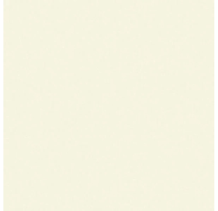 Крупноформатная плита BASIC BLANCO MA. 100X300 5,6 Бежевый 300X100X5,6 (NCR00230)