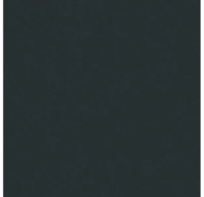 Керамическая плитка BASIC NEGRO Черный 100X50X3,5 (NCR00249)