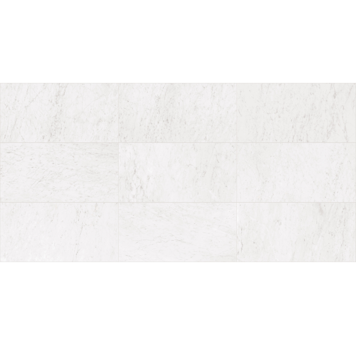 Керамическая плитка MARMOREA CARRARA NAT. Серый 120X60X10 (NCR00946)