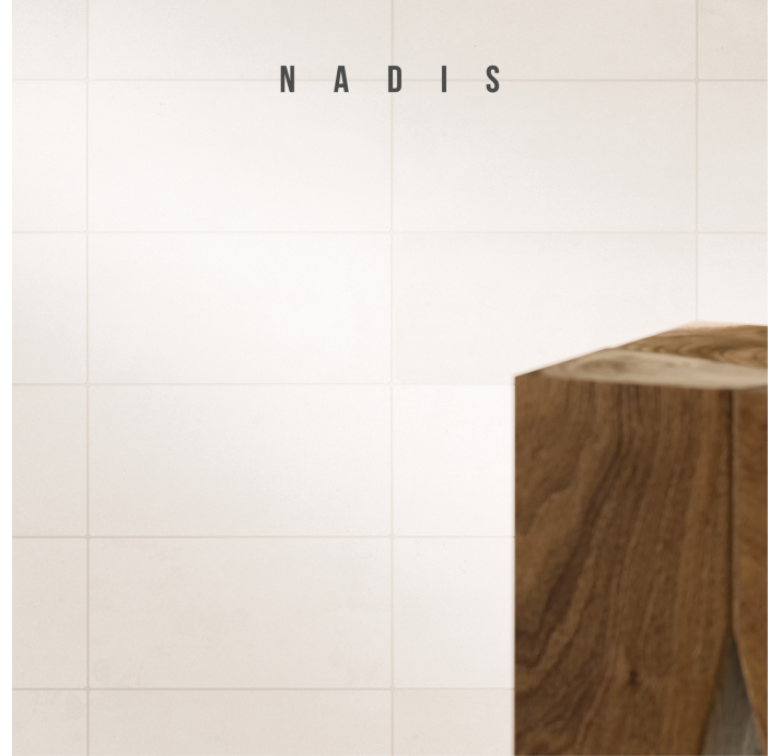 Керамическая плитка GINZA WHITE Белый 10X20X13 (NCR02951)