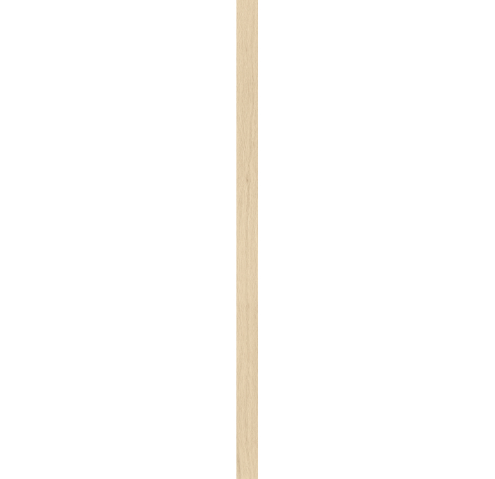 Керамическая плитка PERPETUAL WARM Коричневый 5X120X10 (NCR03298)