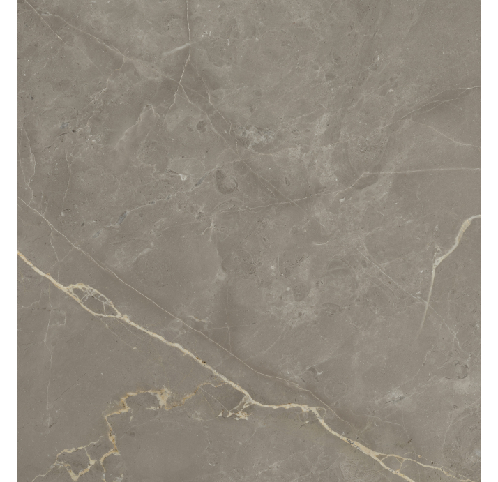 Керамическая плитка MESSA BONE 100x100 Mat Бежевый 100X100X9 (NCR03677)