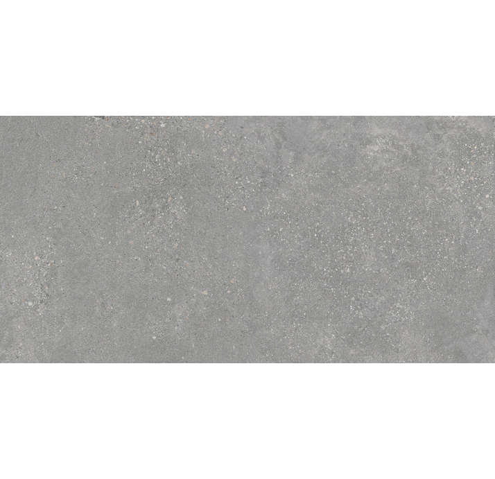 Керамическая плитка MEMORY 60x120 GRIS Mat Серый 60X120X9 (NCR03821)