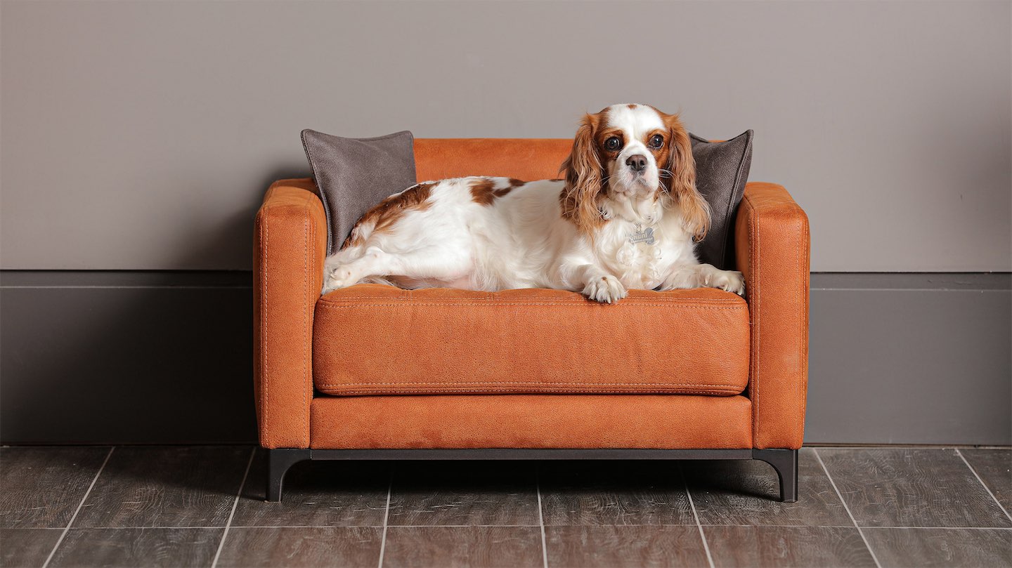 Коллекция Dost mini